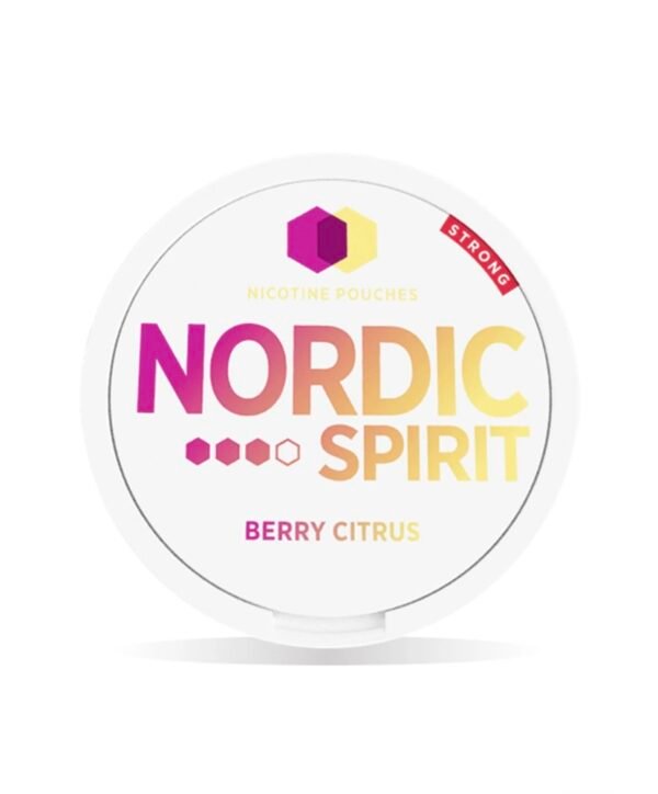 NORDIC SPIRIT NICOTINE POUCHES - Image 2